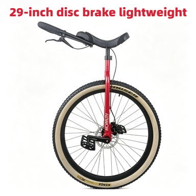 29Inch Morality Hydraulic Disc - Cycling Commute Distance recensie en prijs